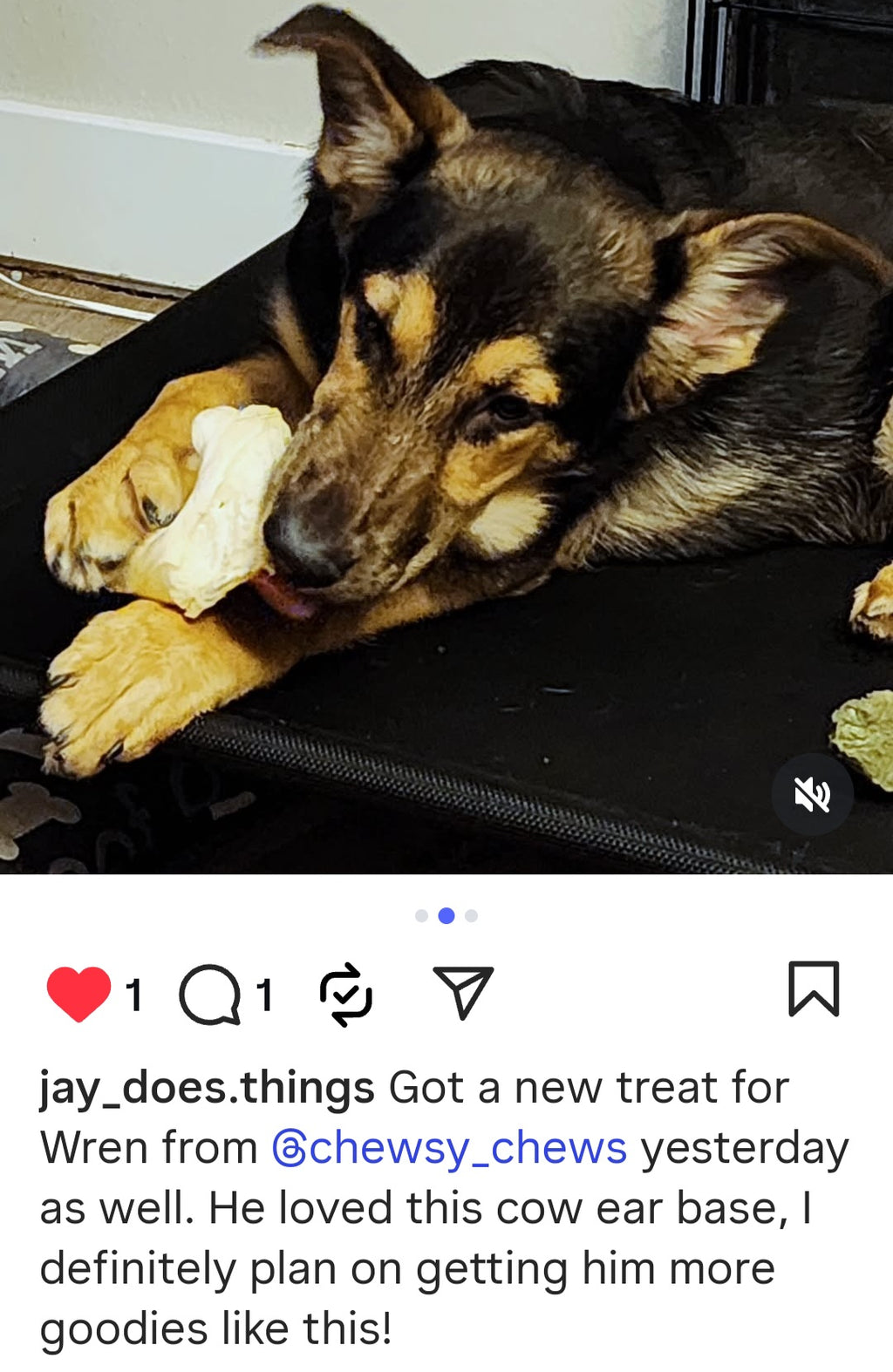 Cow Ear Base - 5 Count