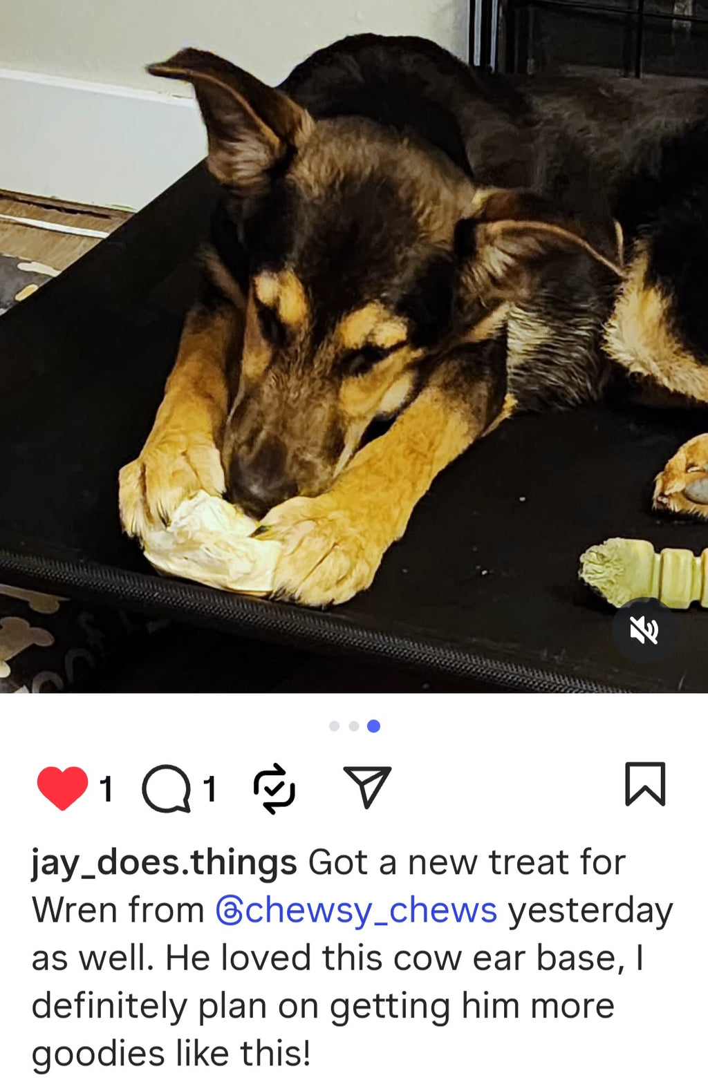 Cow Ear Base - 5 Count