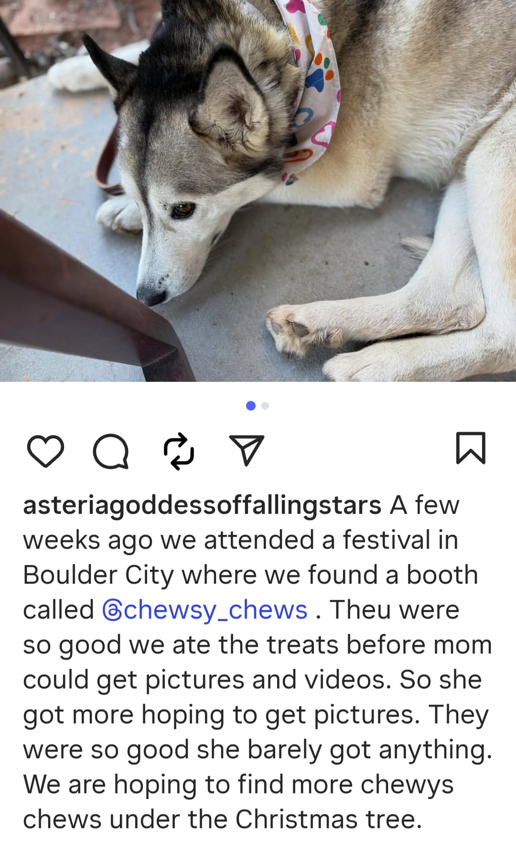 Cow Ear Base - 5 Count