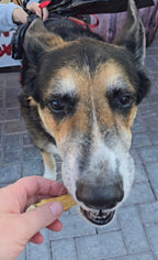 Chicken Feet - 6 Count