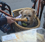 Lamb Leg/Feet - 5 Count