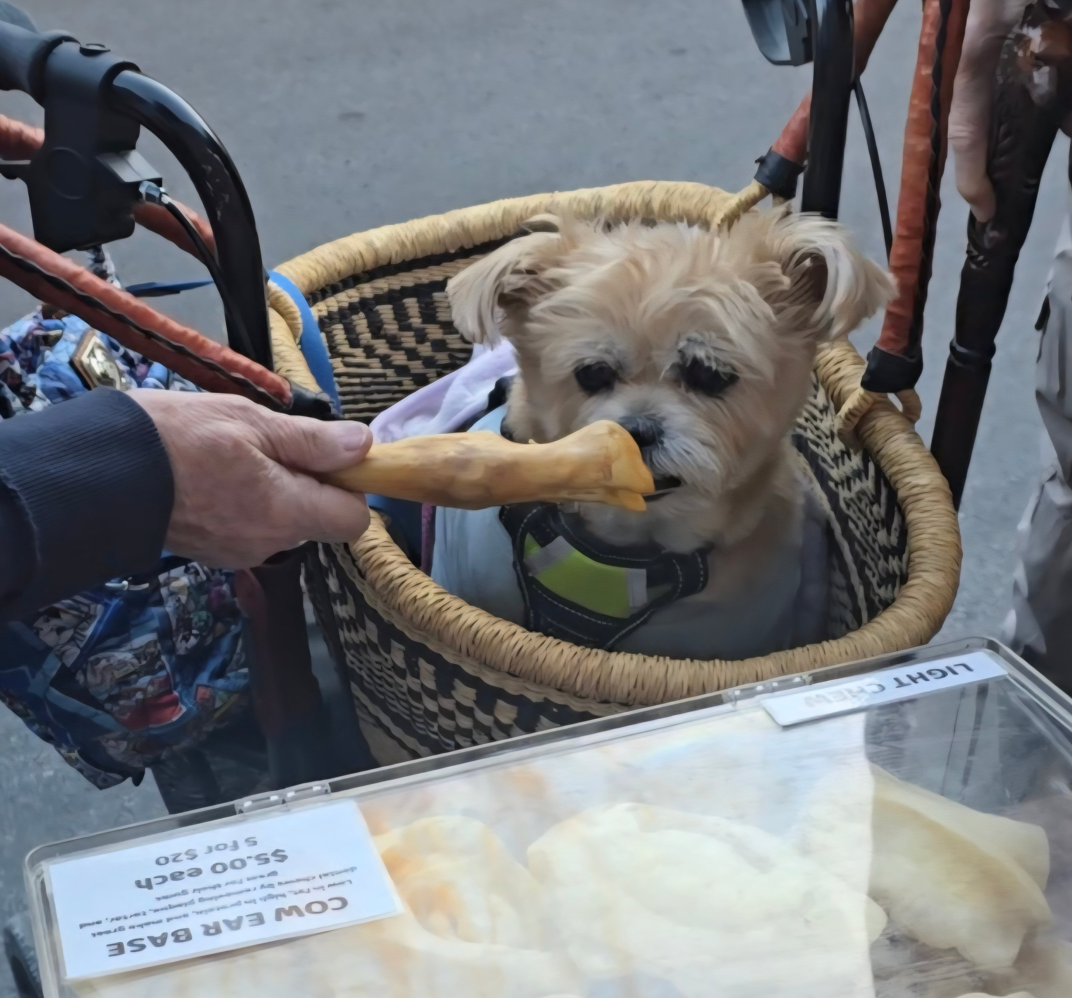 Lamb Leg/Feet - 5 Count