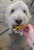 Chicken Feet - 6 Count