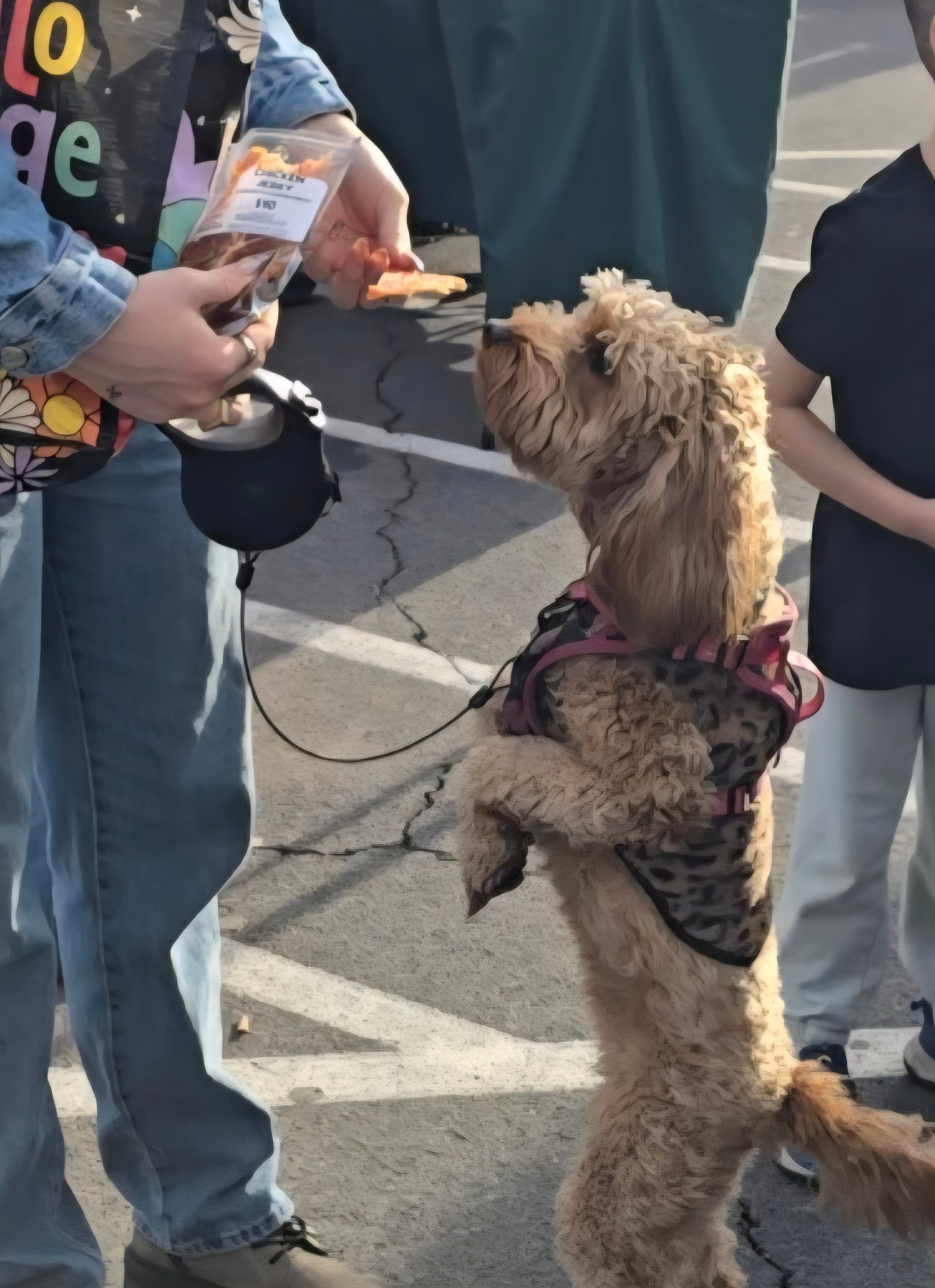 Chicken Jerky Treats