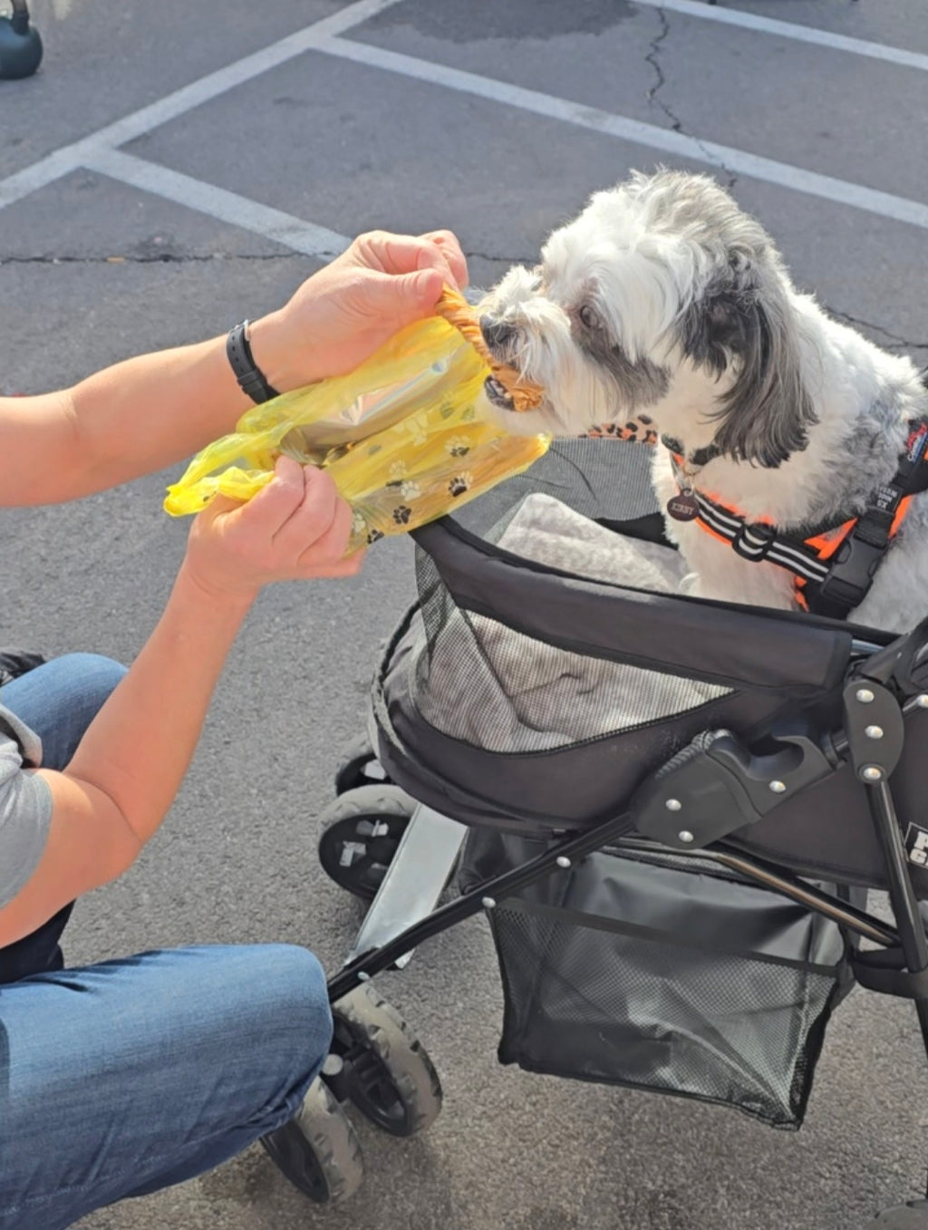 Tripe Twists - 6 Count