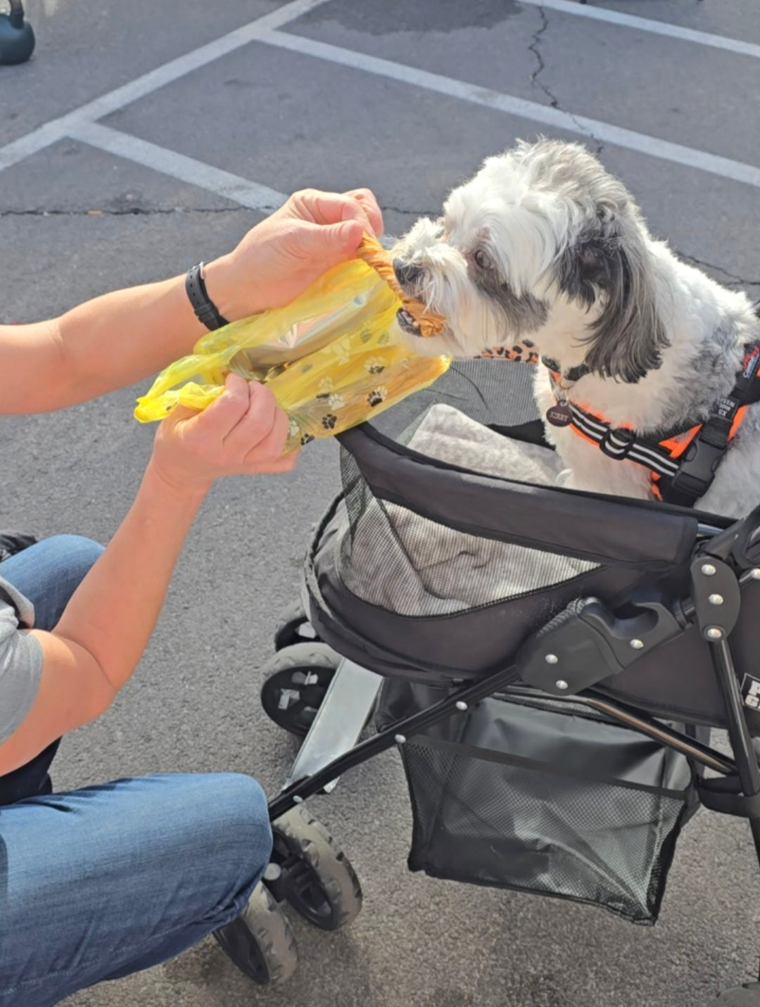 Tripe Twists - 6 Count