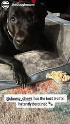 Pig Snouts - 5 Count