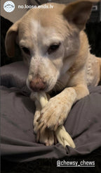 Braided Beef Cheek - 6 Count