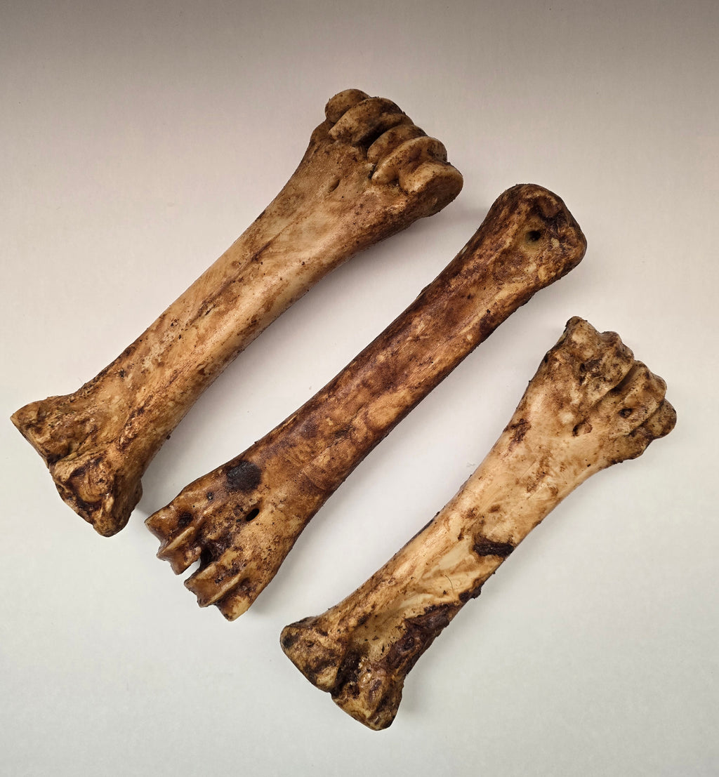 Beef Shin Bone