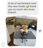 Pig Snouts - 5 Count