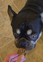 Beef Lung Treats