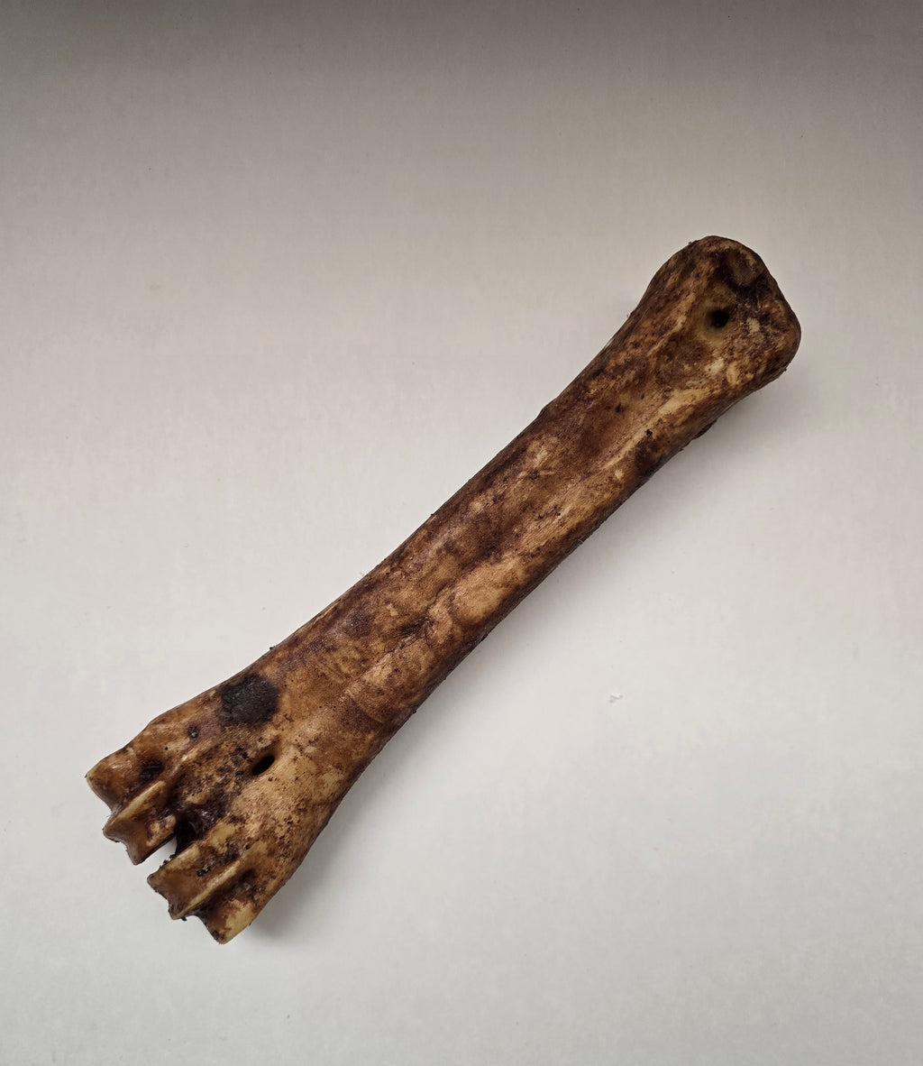 Beef Shin Bone