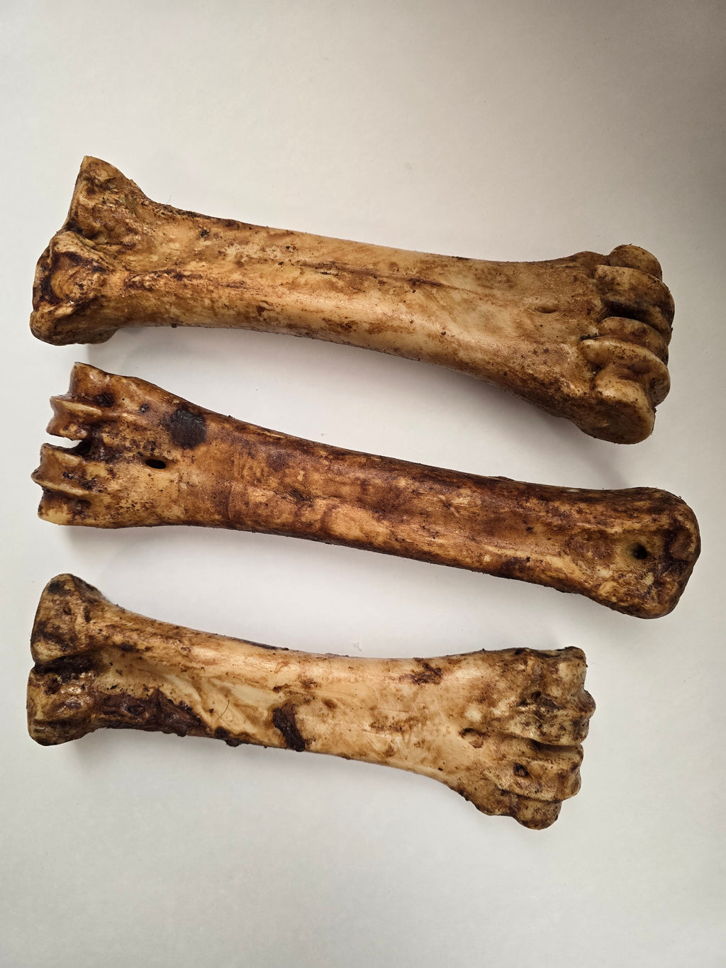 Beef Shin Bone