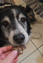 Beef Lung Treats