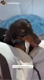 Braided Beef Cheek - 6 Count