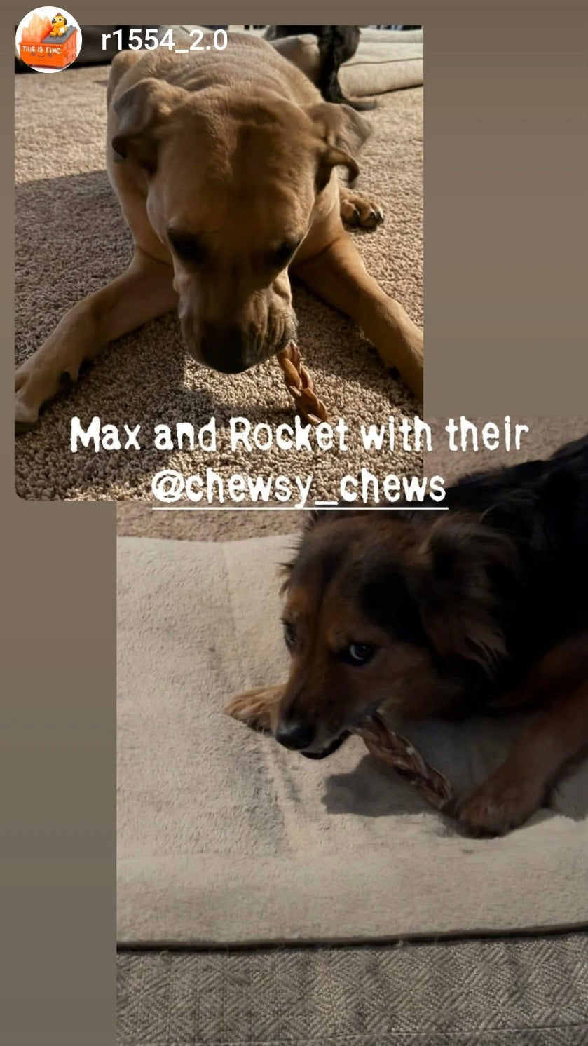 Braided Bully Sticks 6"