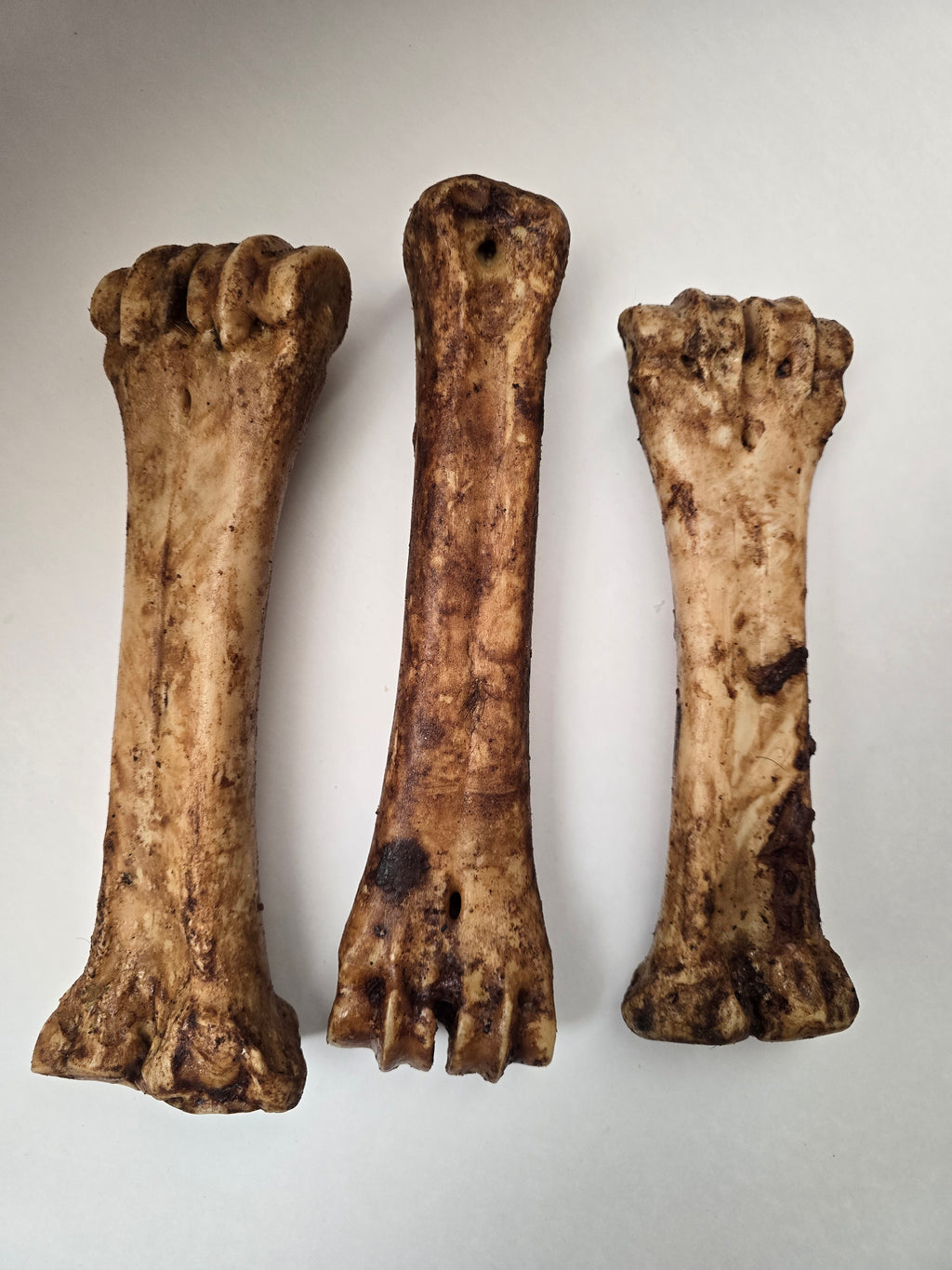 Beef Shin Bone
