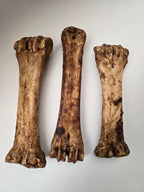 Beef Shin Bone