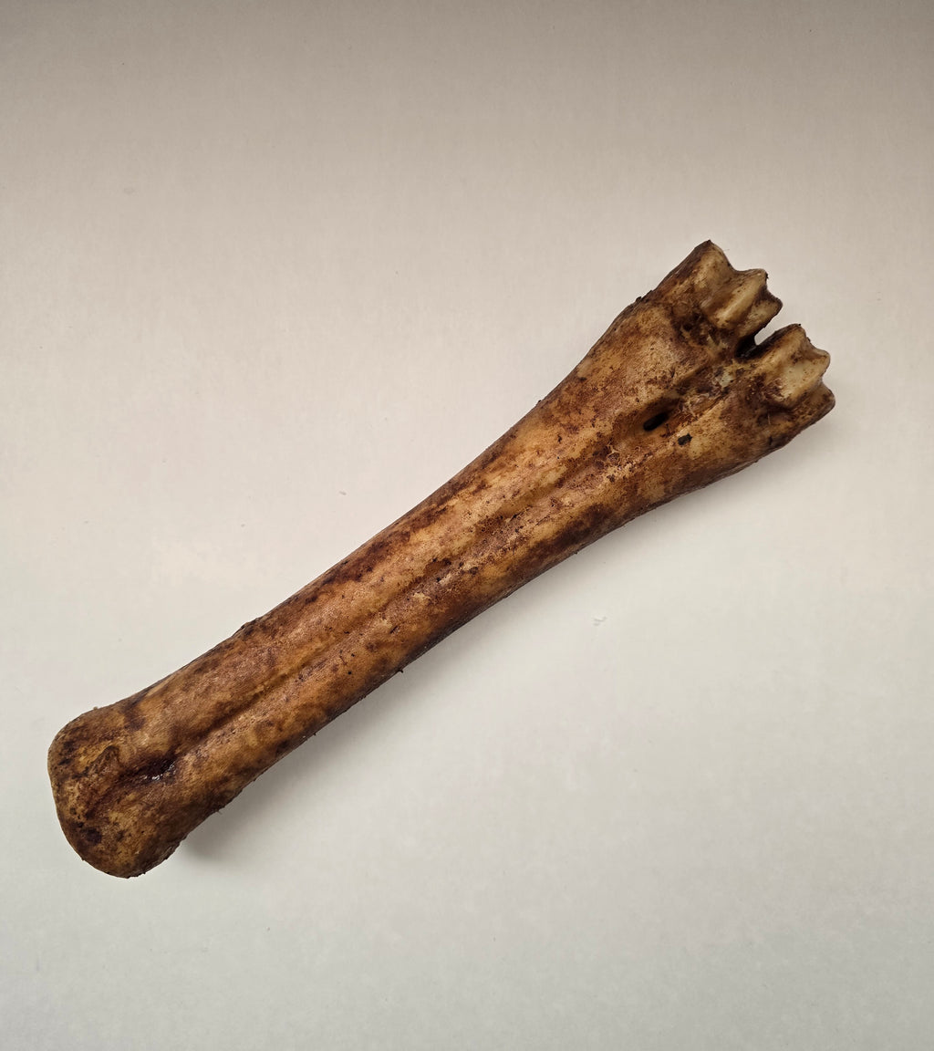 Beef Shin Bone