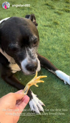 Chicken Feet - 6 Count